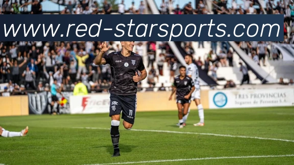 星空体育下载平台生态图